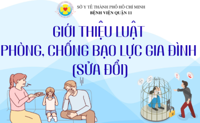 Giới thiệu Luật phòng, chống bạo lực gia đình (sửa đổi)